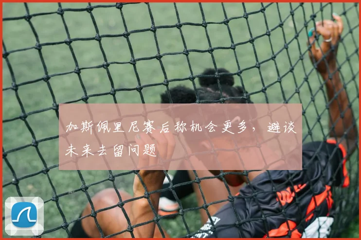 加斯佩里尼赛后称机会更多，避谈未来去留问题
